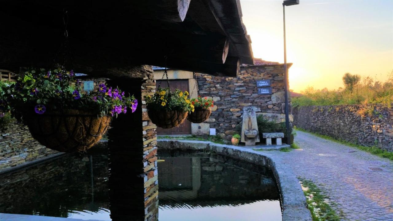 Casa Valxisto Pensionat Penafiel Exteriör bild
